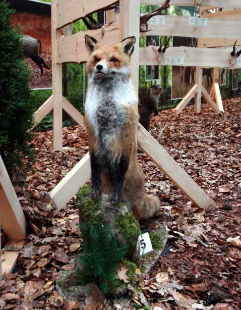 HUBERTUS 2010 JUŻ ZA NAMI